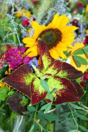 Gardeners bring summer to Mt. Alverno