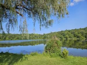 Mountain Lake Park in Warwick.