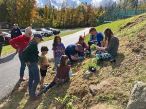 Volunteers work to add native, pollinator-friendly plants at Mountain Lake Park.