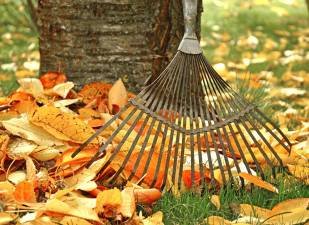 Village of Warwick announces fall leaf pickup dates