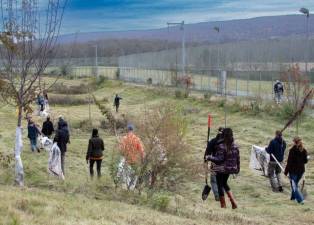 Volunteer tree-planters fanning out to plant their trees.