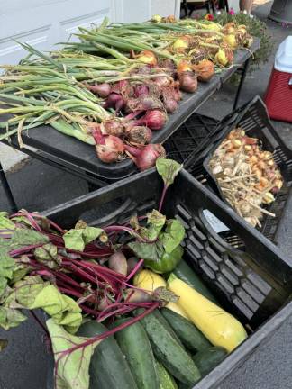 Dave and Sheila Kobricks’ impressive harvest from their Stockholm, NJ garden.