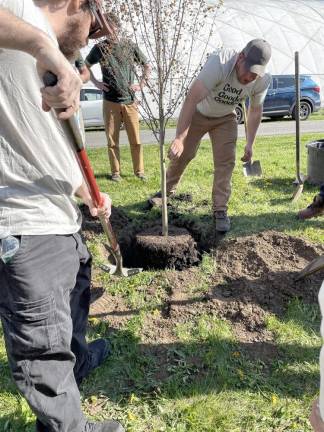 Each tree will also have a QR code nearby so folks can scan the code and learn more about the tree.