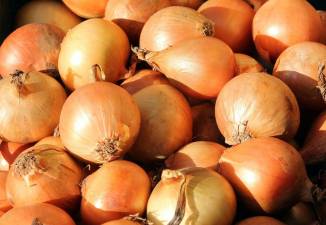 Onion eating contest returns to annual Onion Festival