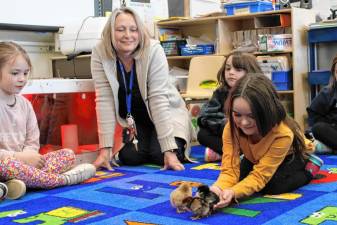 Golden Hill students learned a lot by watching these chicks hatch.