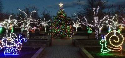 Holiday Lights in Bloom at the Arboretum now open