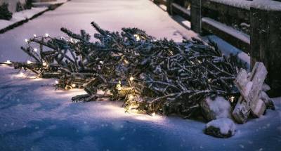 Christmas tree pickup information for village residents