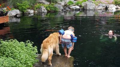 Locals Are Trading Pools for Swimmable Ponds — Here’s Why