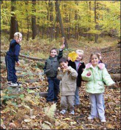 Hudson Highlands Nature Museum shows off autumn leaves on Oct. 15