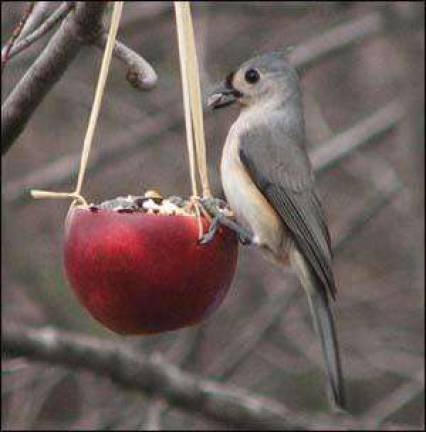Create environmentally safe bird feeders this coming Saturday at Outdoor Discovery Center