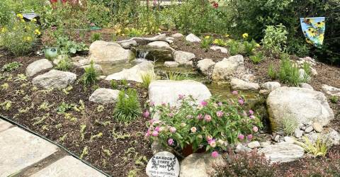 Water feature for Butterfly Garden opens to the public