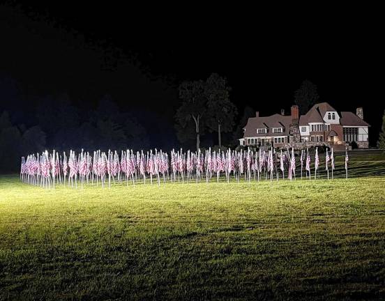 Rotary Flags for Heroes