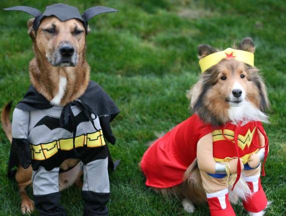The Warwick Valley Humane Society will host a costume parade for pets on Sunday, Oct. 29, from noon to 2 p.m. There also will be a costume and best trick contests.