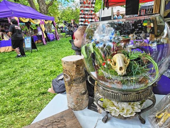 The Beltane festival held in Lewis Park on Saturday, May 11, included a variety of vendors and oddities.