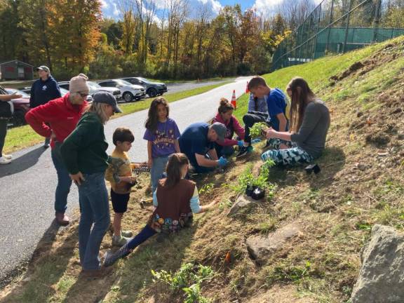 Volunteers work to add native, pollinator-friendly plants at Mountain Lake Park.