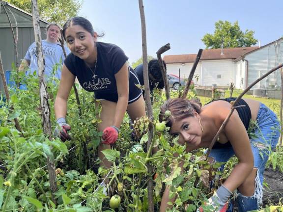 Program students working in a community garden.