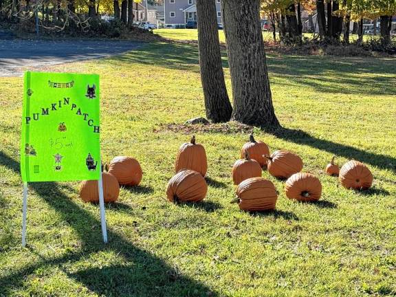 Florida trunk or treat