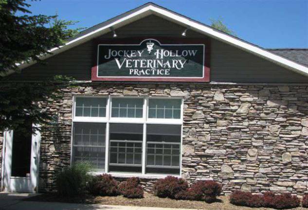 Dr. Jennie Rubenstein is celebrating 10 years owning Jockey Hollow Veterinary Practice in Warwick. She is marking the milestone by donating 10 percent of the practice&#x2019;s revenue over a period of 10 days &#x2013; April 25 through May 5 &#x2013; to K9s for Warriors.