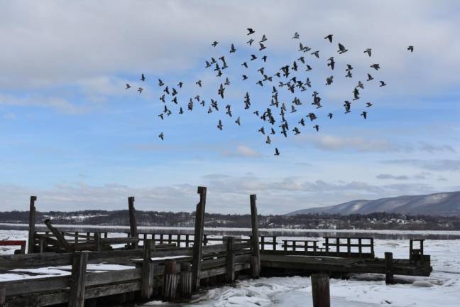 The Newburgh Landing has been closed since 2014 (Photo by Becca Tucker)