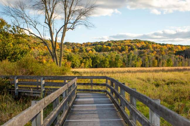 <b>Goosepond Mountain State Park, Chester</b>