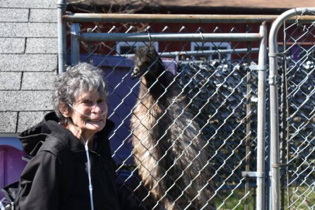 Rebecca Vives prepares to feed the emu.