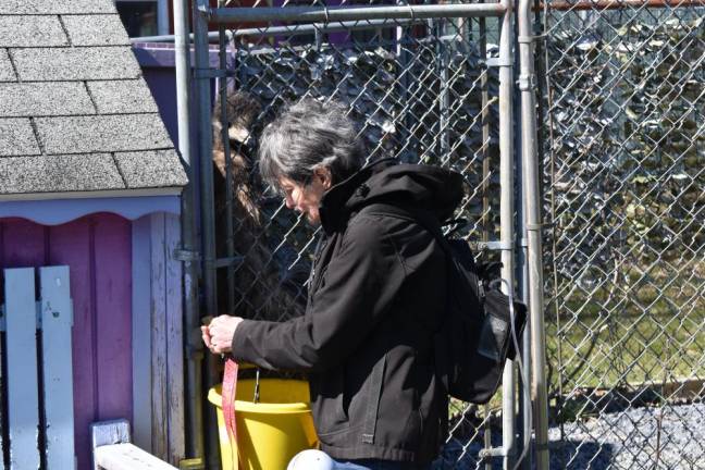 Rebecca Vives struggles with the padlock to the emu’s enclosure. The sanctuary owners installed padlocks on some enclosures after Hecht’s seizure of 45 of their animals.