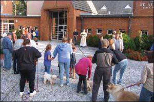 The animals are blessed at St. Stephen'sin honor of St. Francis