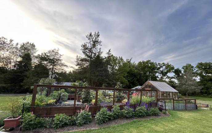 <b>Dawn Mele will be opening her garden gate for the Kitchen Garden Tour again this year. She took first place for Best Garden in 2022.</b>