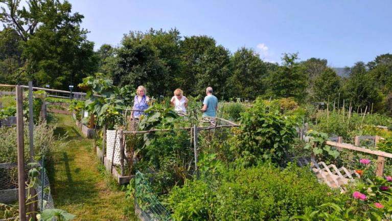 WM2 Garden peepers tour the Organic Community Garden at Wallisch Homestead in West Milford. (Photo by Jim Segal)