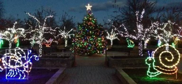 Holiday Lights in Bloom at the Arboretum opens Nov. 29