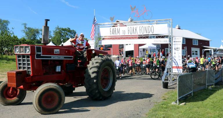 After a short countdown, Steve Pennings, driving his antique tractor, led the group down the hill from the Cidery to Warwick Turnpike.