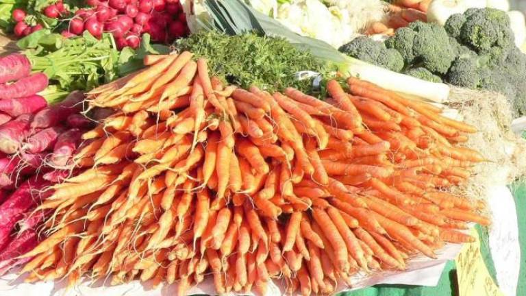 Fresh carrots at the market.