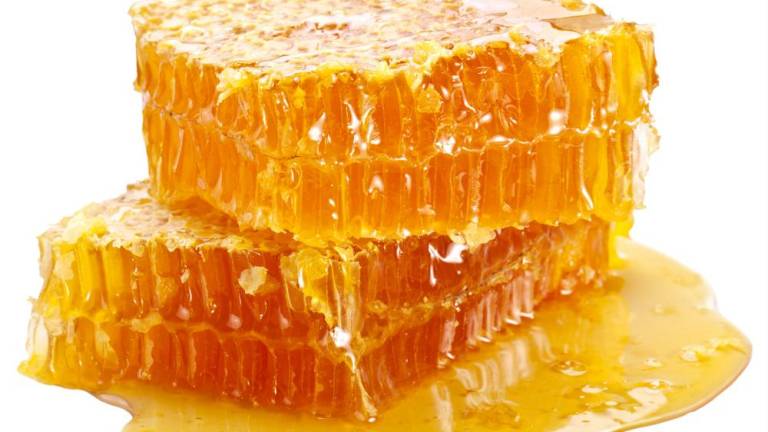 Harvest honey, and more, at The Oasis