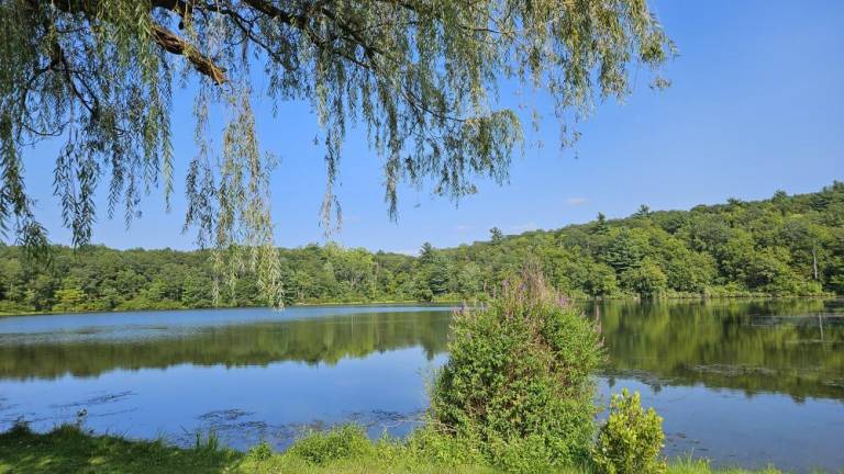 Mountain Lake Park in Warwick.